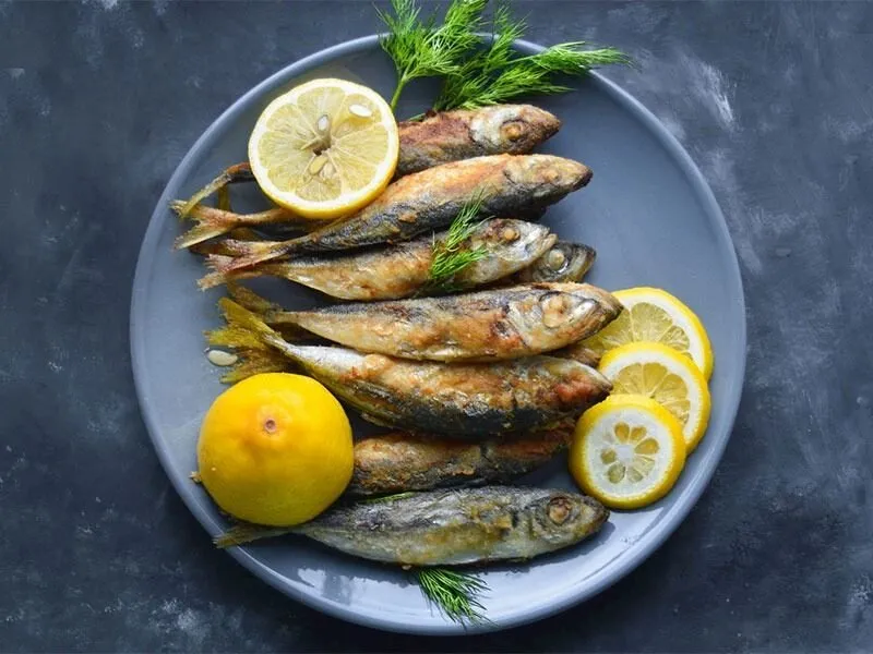 İstavrit
