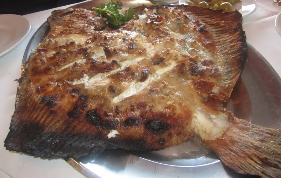Kalkan (Kilo)